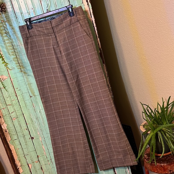 Comfy, stylish Studio Y trouser pants with belt loops and cuffs. - Picture 2 of 8